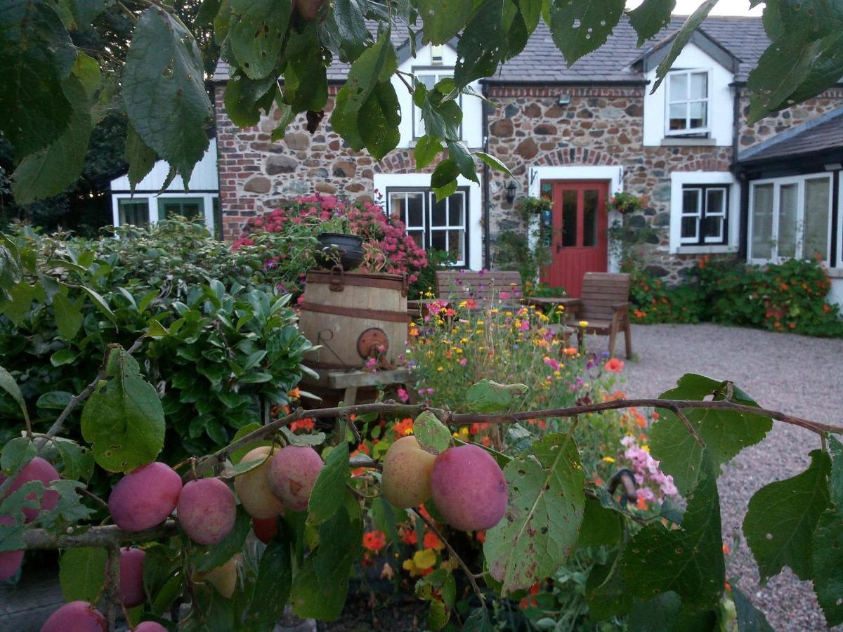 Berwick Hall Cottage Moira  Exterior photo