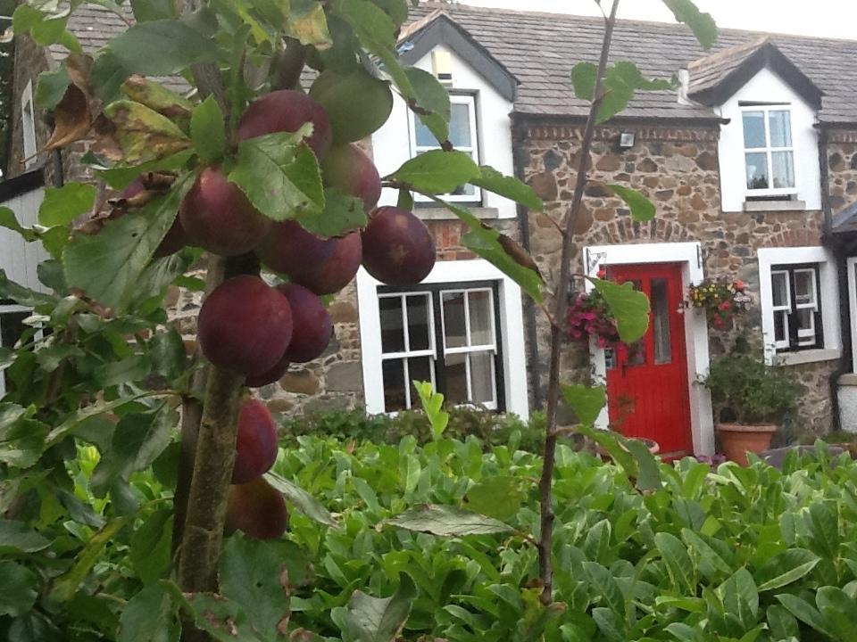 Berwick Hall Cottage Moira  Room photo